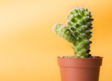 5 Easy Ways to Save Water at Home 5 Cara Mudah Menghemat Air di Rumah