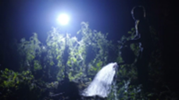 5 Easy Ways to Save Water at Home 5 Cara Mudah Menghemat Air di Rumah