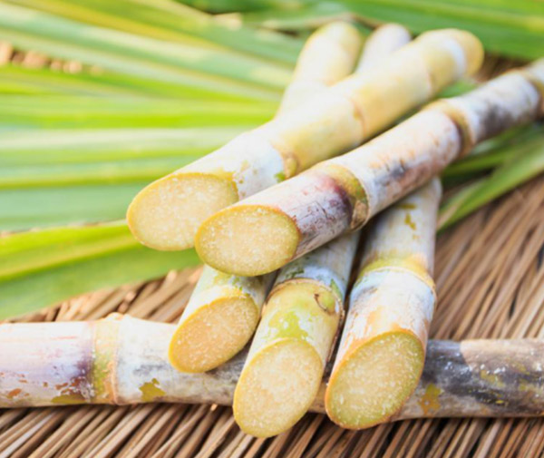 What materials are included in biodegradable materials?